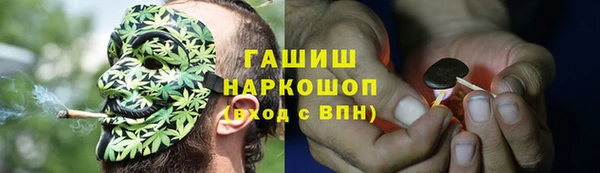прущая мука Арсеньев