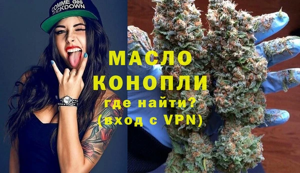 сатива Армянск