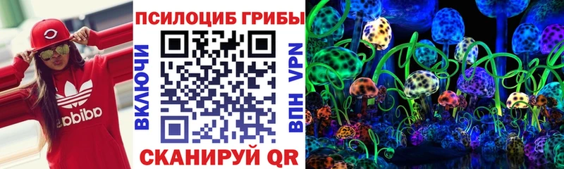 Галлюциногенные грибы мухоморы  сайты даркнета состав  Пыталово  закладка 